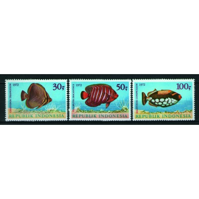 Fauna Marina Peces